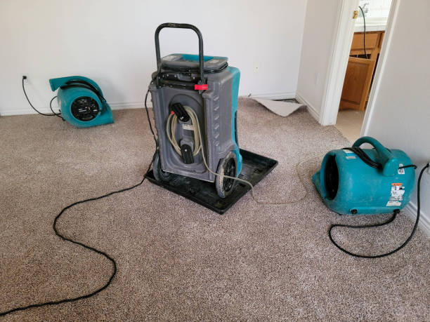 Best Fire Damage Restoration  in Fairview, OK