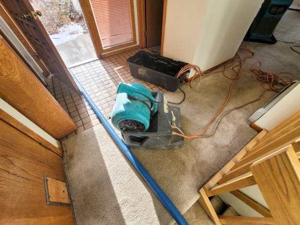 Best 24/7 water damage repair  in Fairview, OK