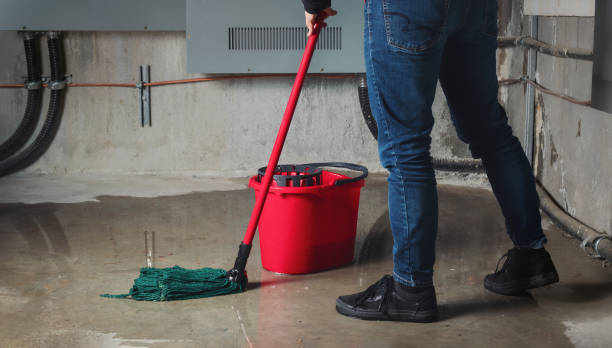 Best Mold removal after water damage  in Fairview, OK