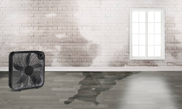 Best Water damage cleanup near me  in Fairview, OK
